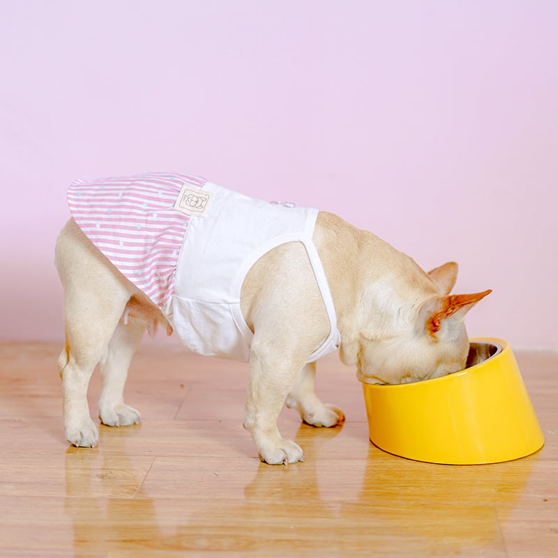 Inclined Stainless Steel Bowl for Dogs and Cats