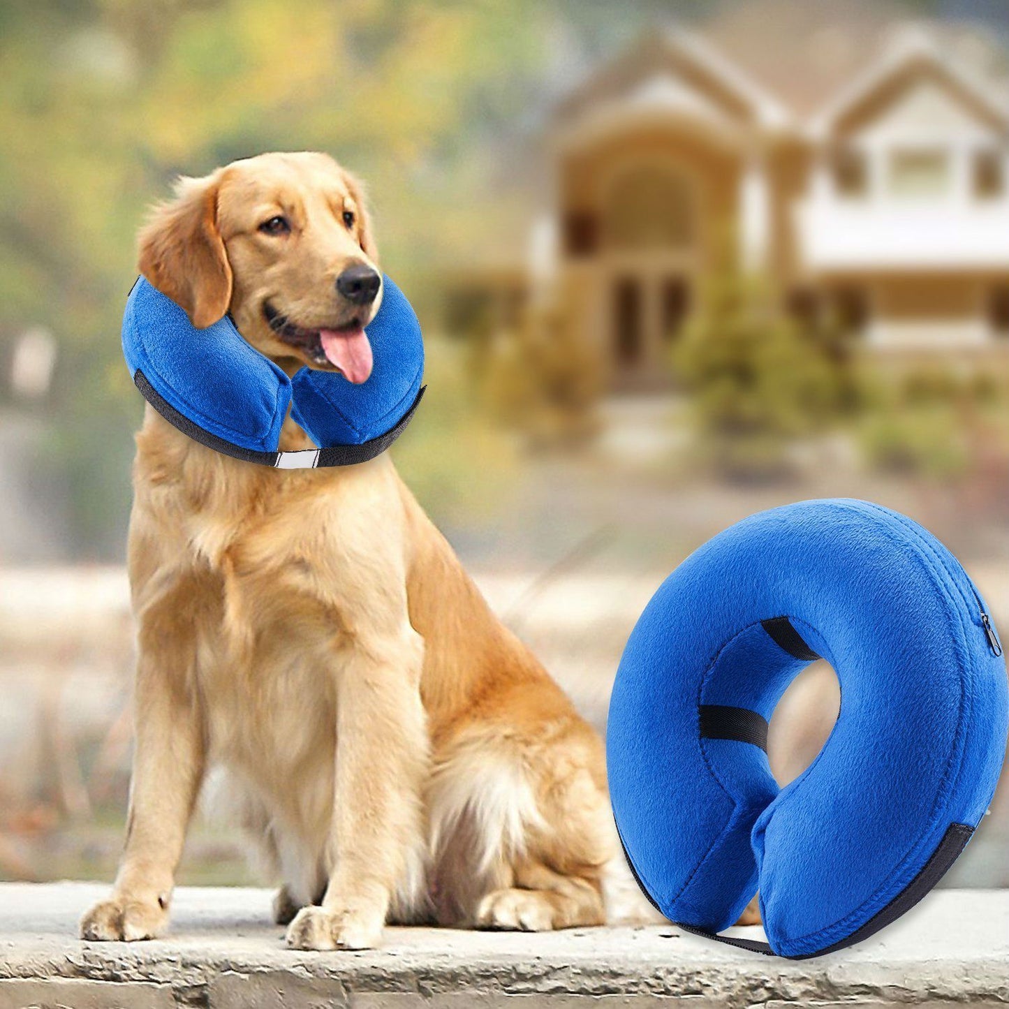 Fashionable Dog Collar - Inflatable Warm Neck Circle