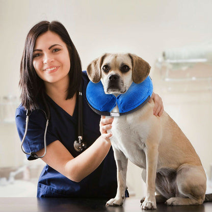Fashionable Dog Collar - Inflatable Warm Neck Circle