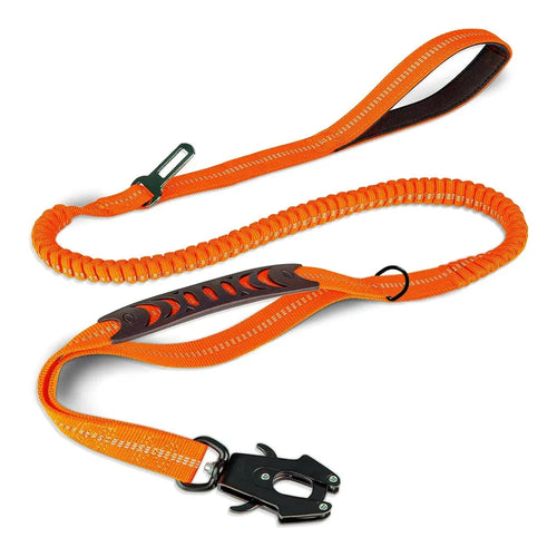 Dog Leash with Buckle