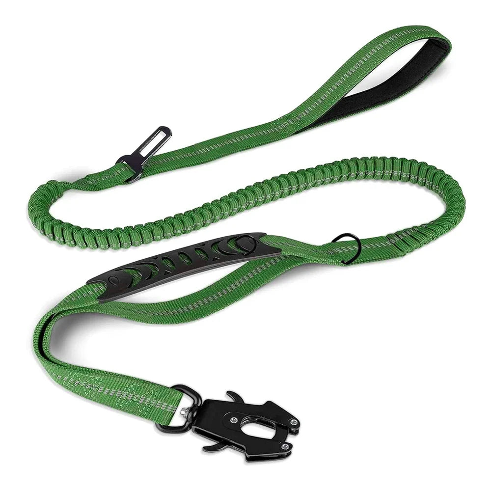 Dog Leash with Buckle