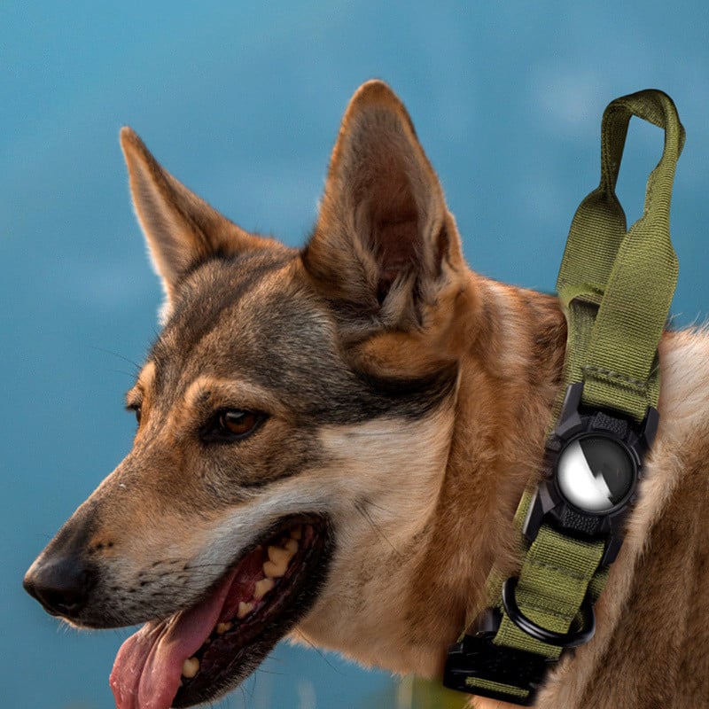 "Protective Dog Item for AirTag Positioning"