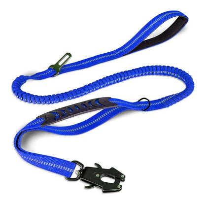 Dog Leash with Buckle
